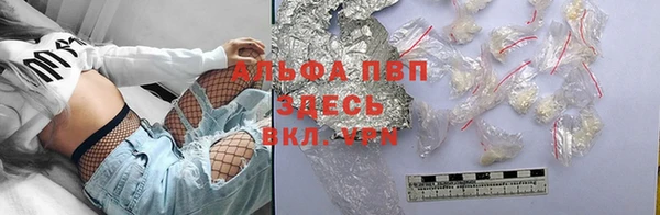 гашик Козельск