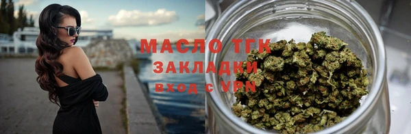 гашик Козельск