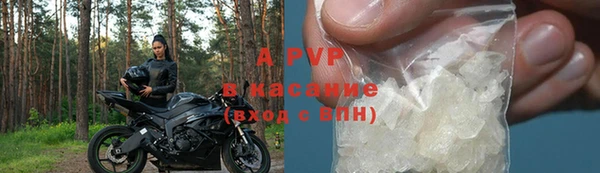 гашик Козельск