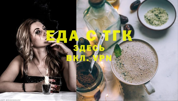 гашик Козельск
