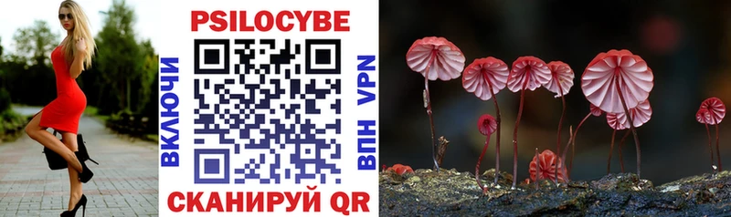 Псилоцибиновые грибы Psilocybine cubensis  мориарти телеграм  Малгобек 